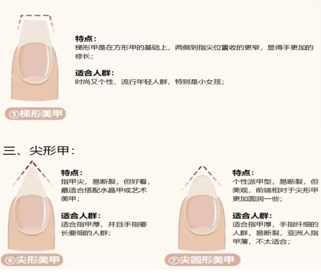 美甲理论知识之七种甲型认识及修磨方法_2_玖柒（美甲教学分享）_来自小红书网页版